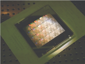 英伟达有望保持在 AI 芯片领域占据的主导地位