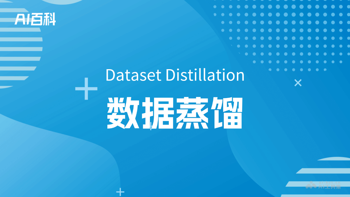 什么是数据蒸馏（Dataset Distillation） – AI百科知识