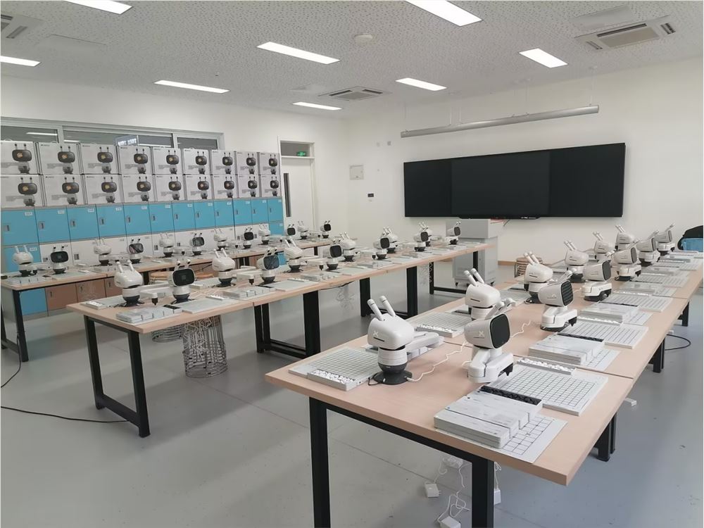 落地数十所学校，元萝卜“AI进校园”为校园素质教育注入科技活力