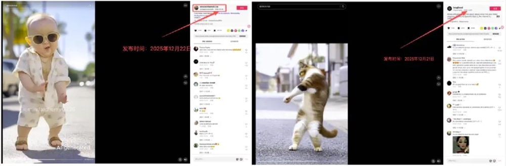 30天拿下千万下载，这家国内AI创企如何在TT上卷赢“宠物舞蹈”热潮