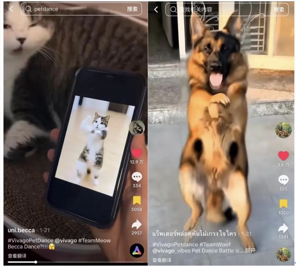 30天拿下千万下载，这家国内AI创企如何在TT上卷赢“宠物舞蹈”热潮