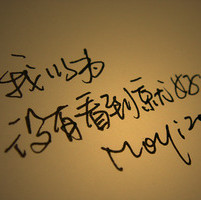 微风中的蒲公英