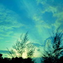 时间胶囊收藏家